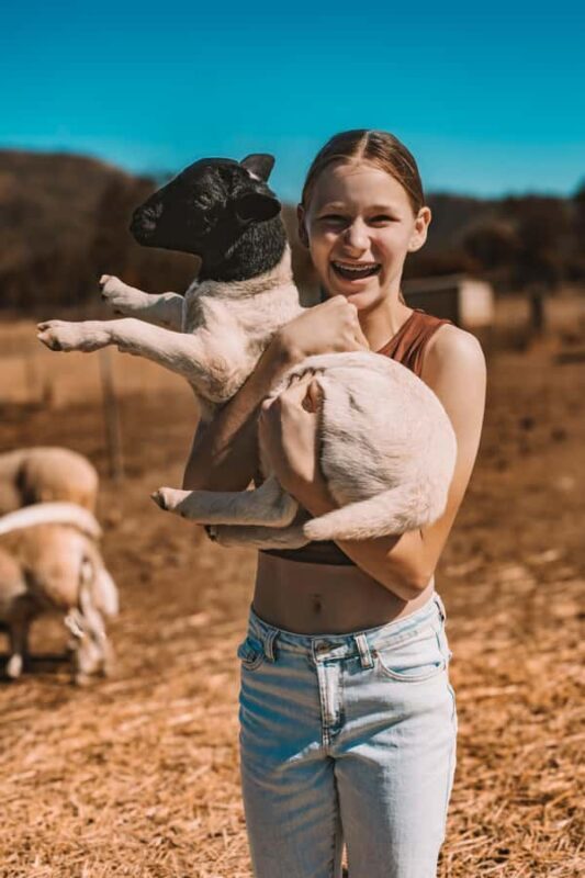 Mutchilba: Farm Animal Feeding - Who Will Love This Tour?