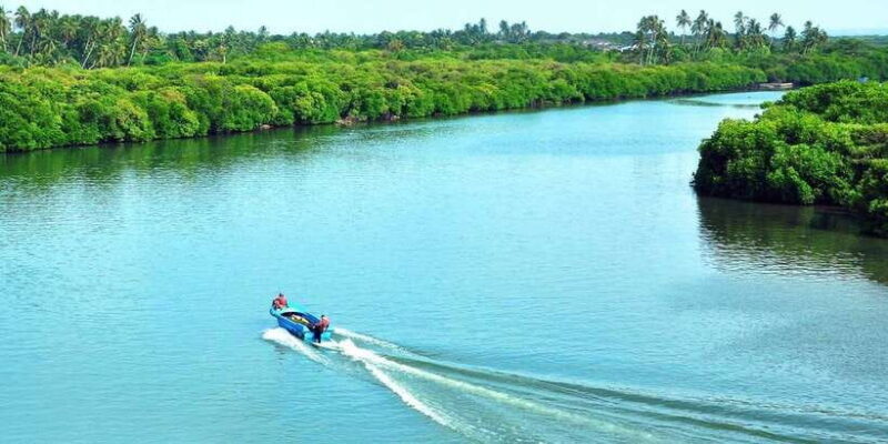Muthurajawela Bird Watching Tour from Negombo and Colombo - Who Should Consider This Tour?
