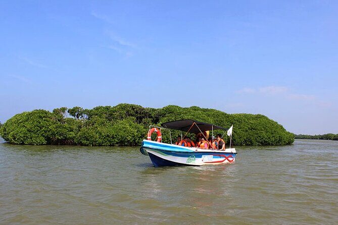 Muthurajawela Bird Watching Tour from Negombo / Colombo - An Honest Look at the Muthurajawela Bird Watching Tour