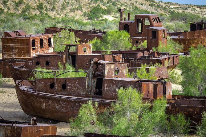 Muynak - "Ship Cemetery" Tour from Nukus - Who Should Consider This Tour?