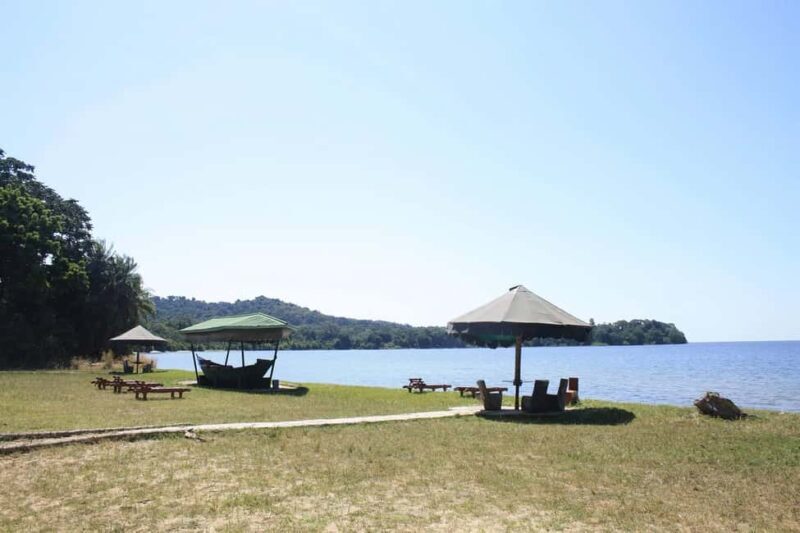 Mwanza: 3-Day Rubondo Island Safari with Chimp Trekking - An Authentic View of Rubondo Island