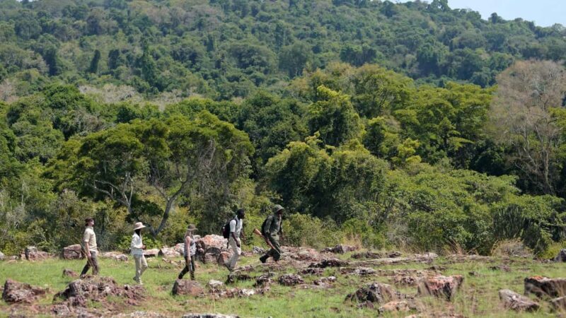 Mwanza: Rubondo Island 5-Day Safari with Meals - An In-Depth Look at the Rubondo Island Safari Experience