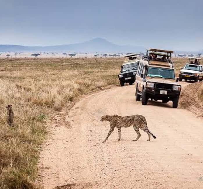 Mwanza: Serengeti National Park Day Trip with Lunch - Key Points