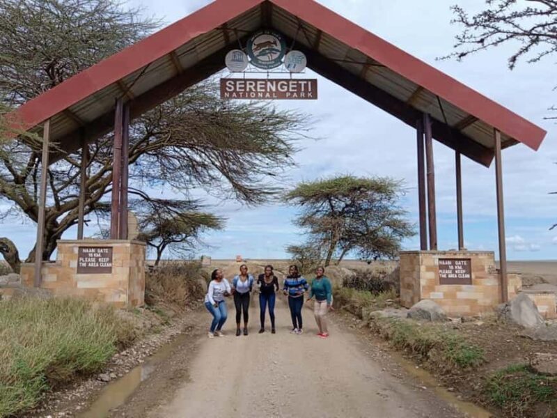 Mwanza: Serengeti National Park Day Trip with Lunch - The Journey to Serengeti: What to Expect