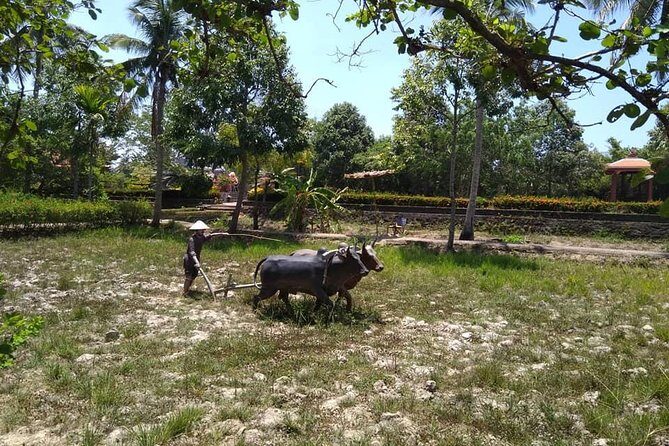 MY LAI MASSACRE Tour from Hotel in Da Nang City or Hoi An City ( Private Tour ) - Who Should Consider This Tour?