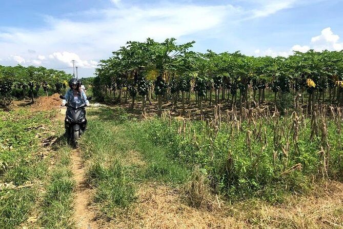 My Son Adventures Loop (1 ngày -150km) - The Sum Up: Why Choose the My Son Adventures Loop?