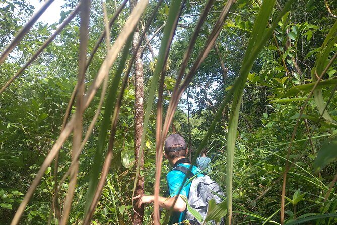 My Son sanctuary and mountain trekking - Authenticity and Insider Tips