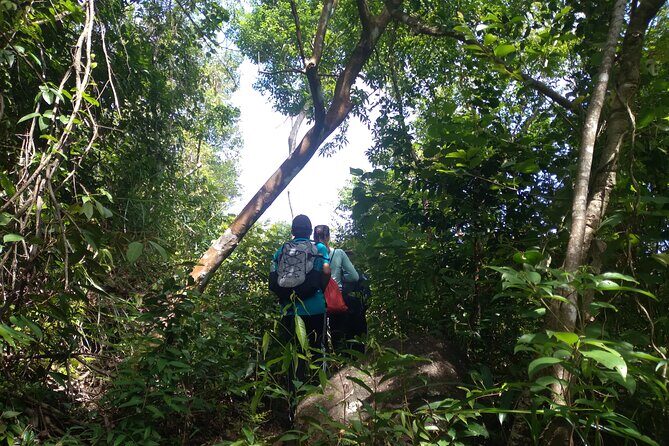 My Son sanctuary and mountain trekking - Who Should Consider This Tour