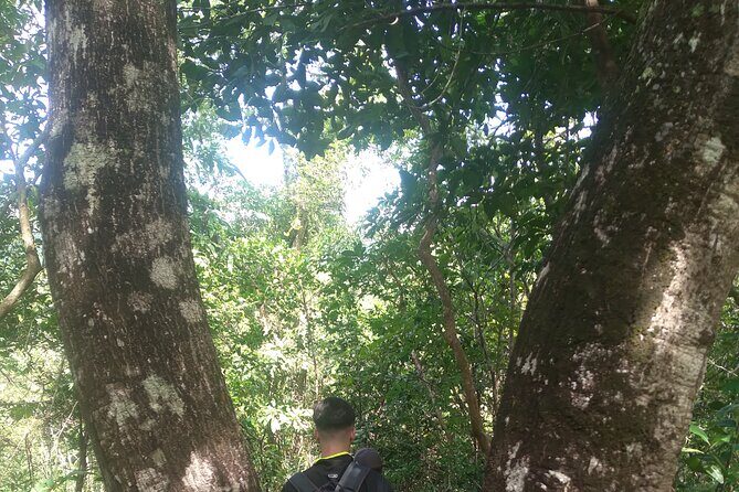 My Son sanctuary and mountain trekking - FAQ