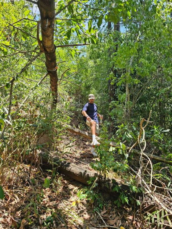 My Son Sanctuary and Mountain Trekking - Pilgrimage - The Sum Up