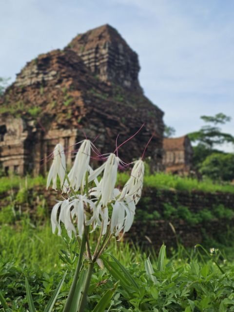 My Son Sanctuary Morning/Afternoon with Boat Trip and Banhmi - A Closer Look at the Itinerary and Experience