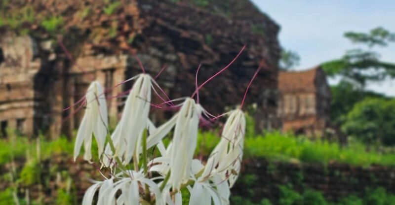 My Son Sanctuary Morning/Afternoon with Boat Trip and Banhmi - Final Thoughts