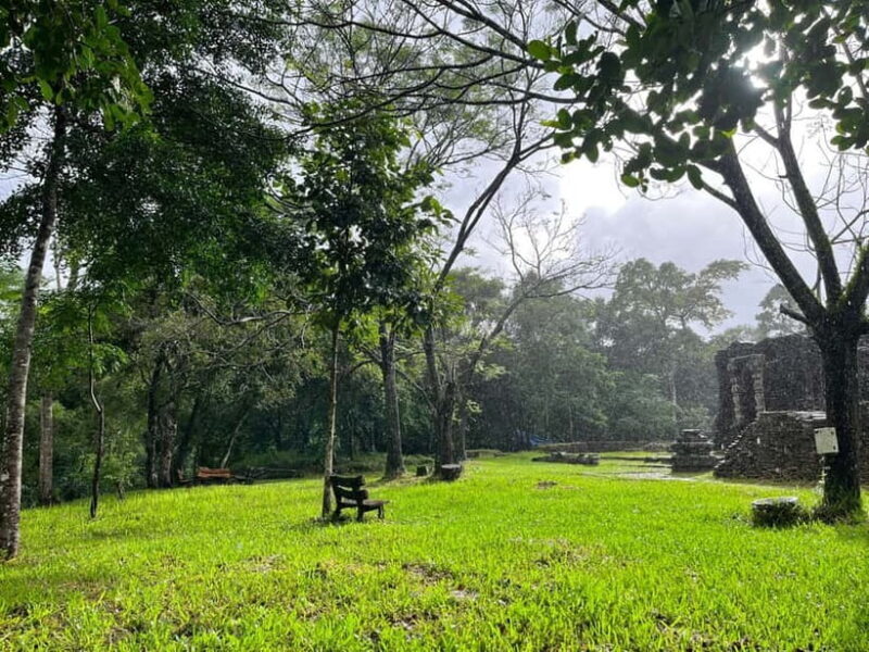 MY SON SANCTUARY - RICE PAPER MAKING DELUXE TOUR FROM DANANG - A Delicious Vietnamese Meal