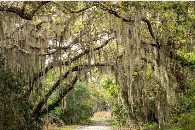 Myakka State Park E-bike Safari - The Sum Up