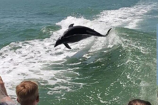 Myrtle Beach Dolphin Cruise - The Sum Up: Is It Worth It?