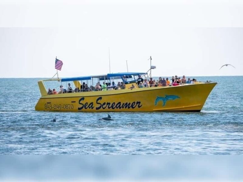 Myrtle Beach: Dolphin Cruise on the Sea Screamer - An Up-Close Look at the Experience