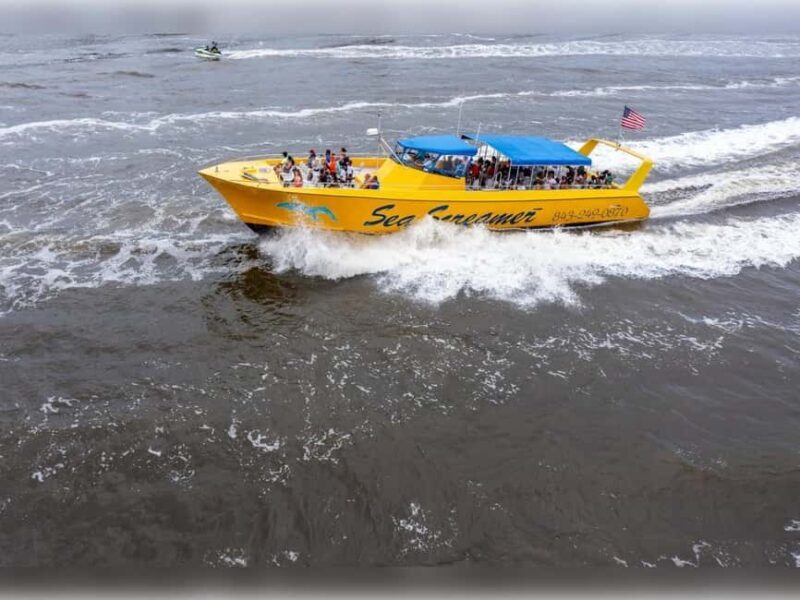 Myrtle Beach: Dolphin Cruise on the Sea Screamer - Practical Tips for an Enjoyable Trip