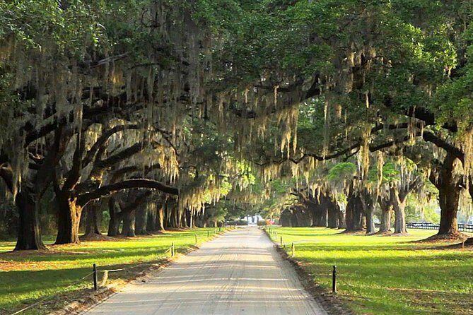 Myrtle Beach to Charleston with Horse & Carriage Ride, Harbor Cruise, Boone Hall - An Overview of the Tour Experience