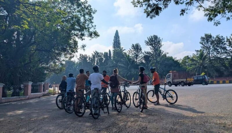 Mysore City Bike Tour Morning 3.5 Hours: Mysore By Cycle - Real Traveler Perspectives
