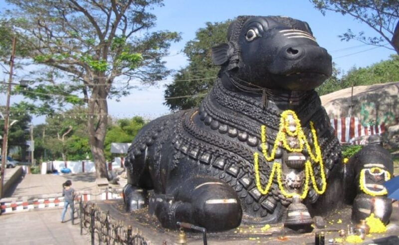 Mysore: Private Full-Day Sightseeing Tour of the City - Why This Tour Offers Great Value