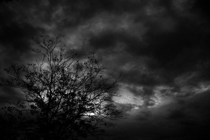 Mysteries and Murders of Salem Guided Night-Time Walking Tour - Key Points