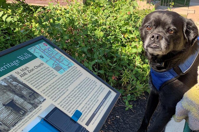 Mysteries on the Move: Scavenger Hunt in Savannah - Authenticity and Value