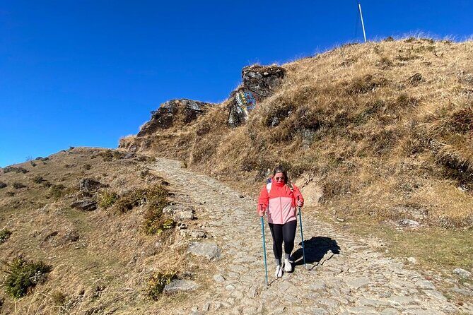 Mystic Darjeeling to Tonglu Day Trek - Who This Tour Is Perfect For