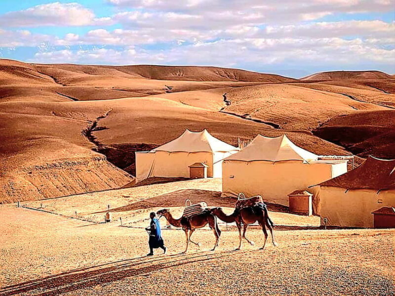 Mystic dinner and camel ride with sunset in Agafay desert - The Sum Up