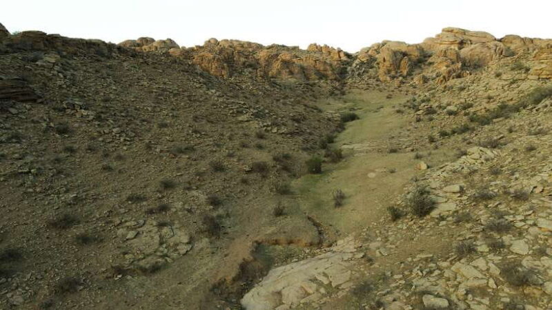 Mystical Gobi Journey: Highlights Tour with Gobi Adventure - Discovering Mongolia’s Natural Splendors
