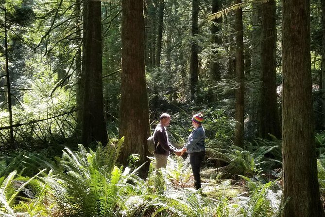 Mystical Rainforest Tour - Forest Magick - Final Thoughts