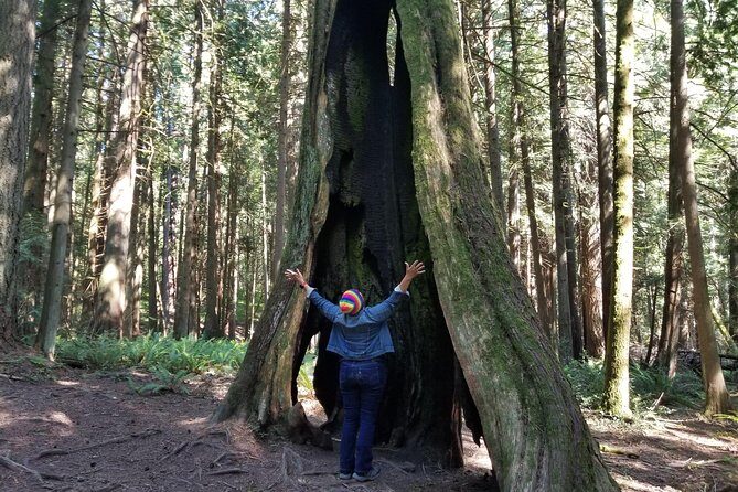 Mystical Rainforest Tour - Forest Magick - FAQ