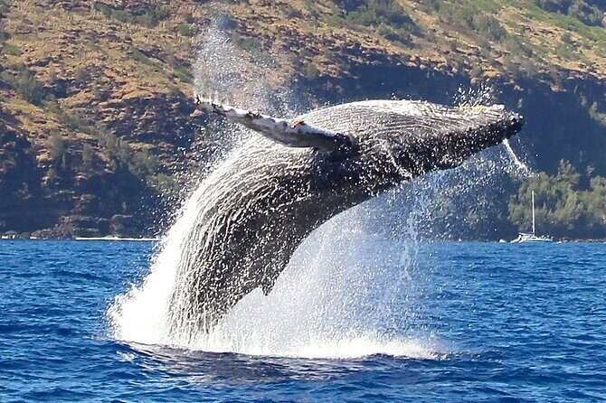 N Pali Coast Zodiac Raft Expedition and Snorkeling on Kauai - Practical Details and Considerations