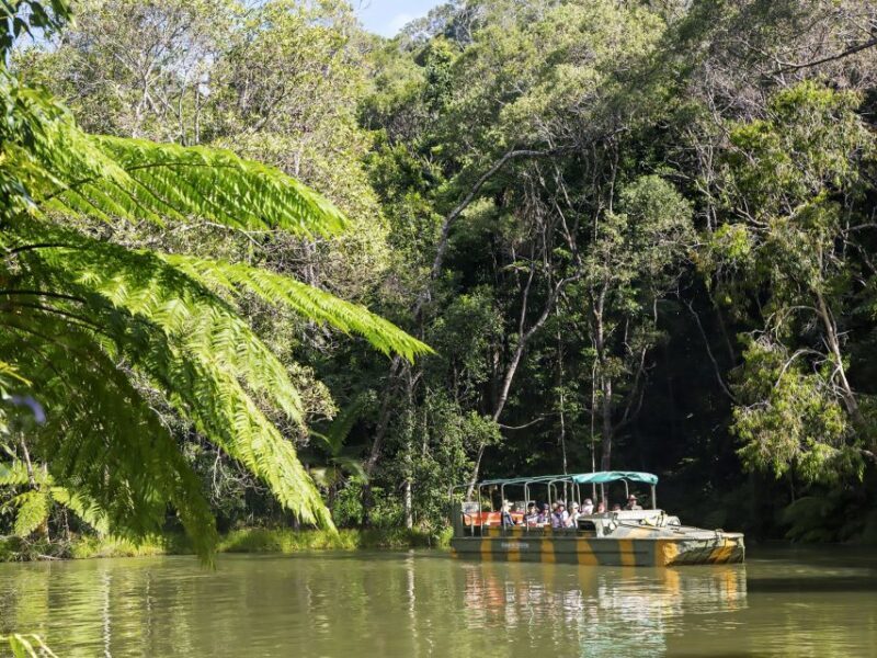 N. Queensland: Kuranda Rainforest Full-Day Tour - Overall Value: Combining Cost and Experience