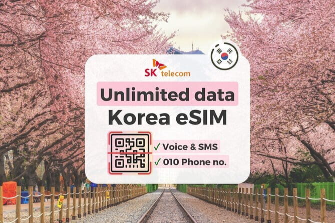 N Seoul Tower Observatory Ticket South Korea - Who Is This Tour Best For?