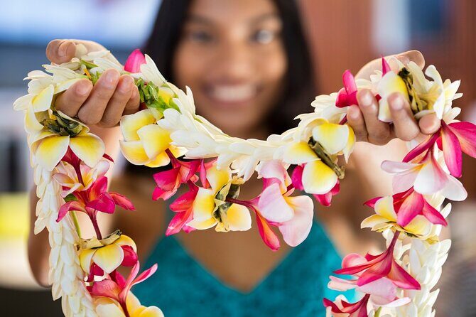 N°1 Moorea Transfers Shuttle Airport Ferry terminal - What You Can Expect from the Moorea Transfers Shuttle