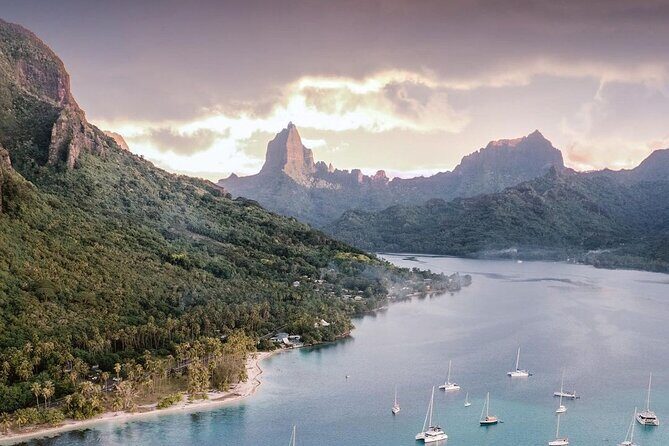 N°1 Moorea Transfers Shuttle Airport Ferry terminal - The Authentic Experience: Authentic Hospitality Meets Practical Service