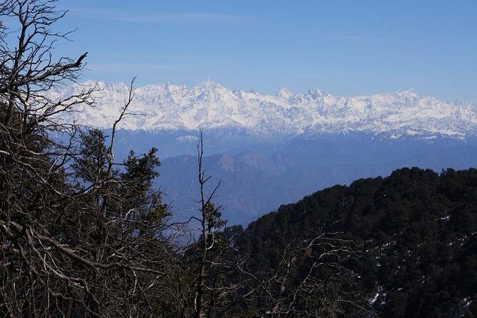 Naag Tibba Trek - Reviews: Authentic Voices on the Naag Tibba Trek
