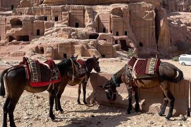 Nabatean Nights Stay in Petra Jordan - Bedouin Village with Tour - The Itinerary Breakdown: What You Can Expect