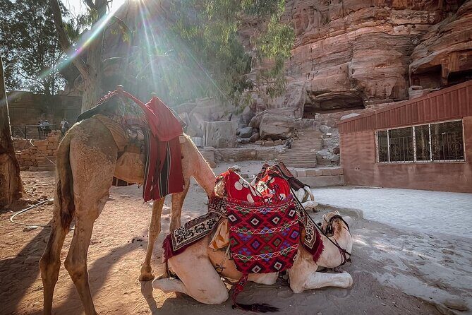Nabatean Nights Stay in Petra Jordan - Bedouin Village with Tour - Frequently Asked Questions