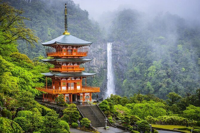 Nachi Waterfall, Mount Koya & Wakayama Tour with Two Options - Key Points
