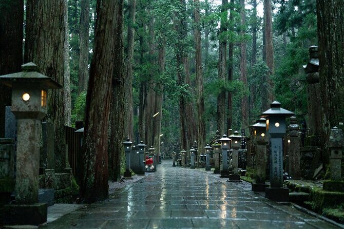 Nachi Waterfall, Mount Koya & Wakayama Tour with Two Options - Why This Tour Is Worth Considering