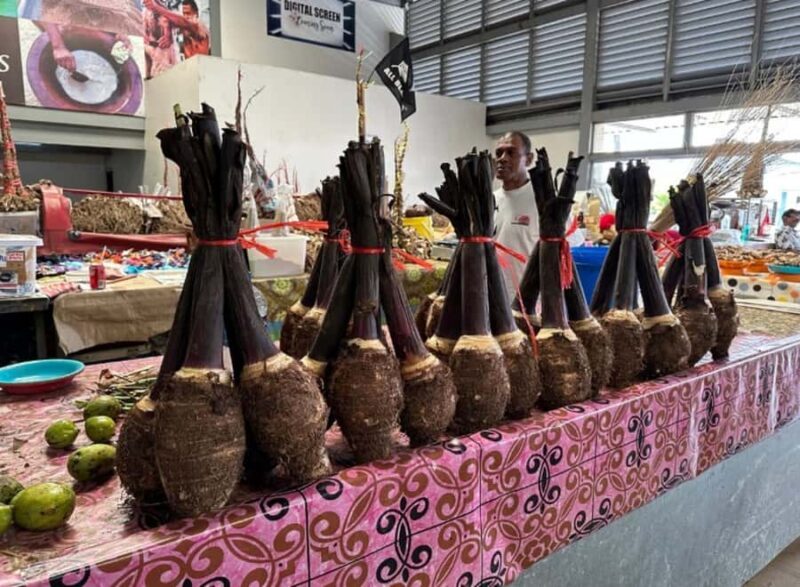 Nadi: Culture, Temples, Markets & Garden Adventure - Who Should Consider This Tour?