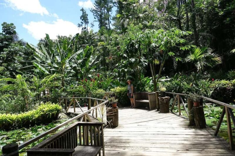 NADI: Exquisite Orchid Garden Tour with Hotspring & Mudpool - Key Points