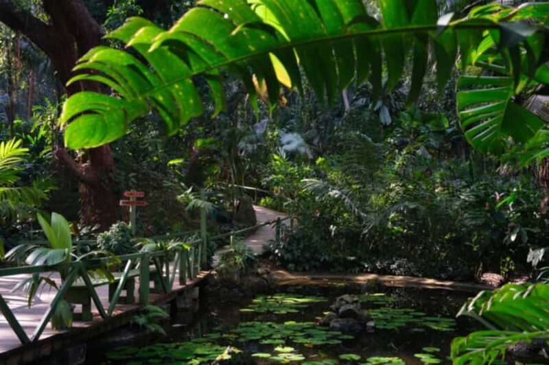 NADI: Exquisite Orchid Garden Tour with Hotspring & Mudpool - FAQs