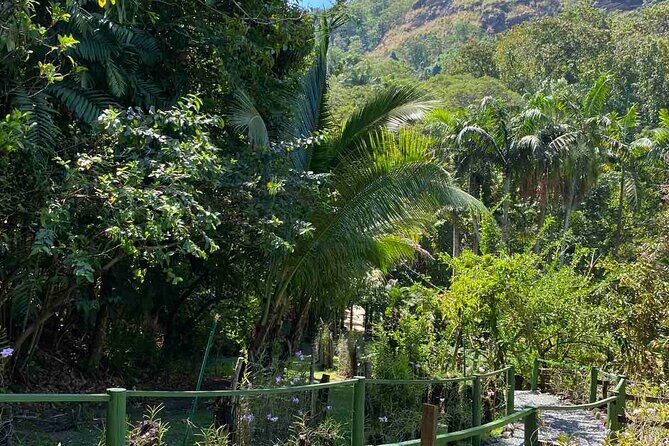 Nadi Fiji Historical Half Day Tour - An In-Depth Look at the Tour