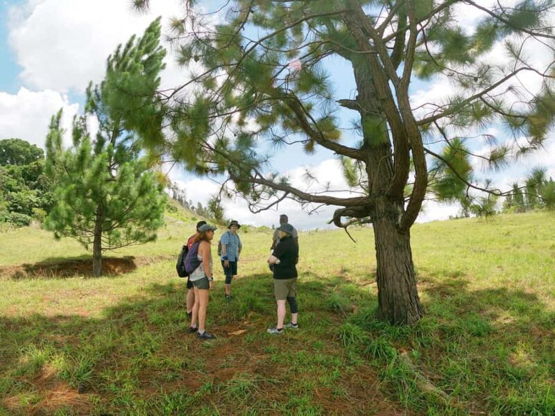 Nadi: Hidden Peaks Small Group Hiking Adventure - Final Reflection: Is It Worth It?