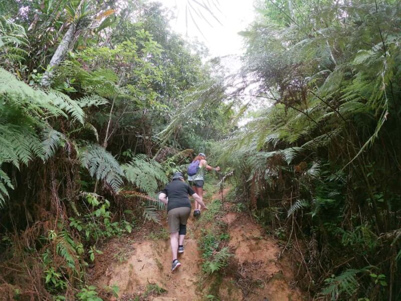 Nadi: Hidden Peaks Small Group Hiking Adventure - FAQ