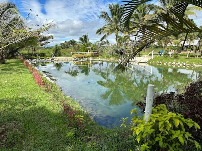 Nadi: Mud Pool and Hot Spring Private Tour - What the Reviews Say