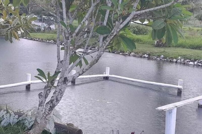 Nadi: Mud Pool and Hot Spring Private Tour - Who Would Enjoy This Tour?
