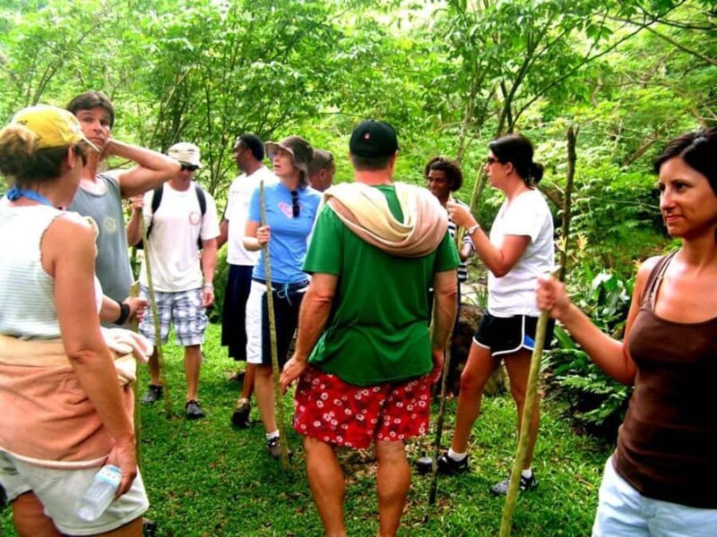 NADI: Nalesutale Village Half Day Tour - Key Points
